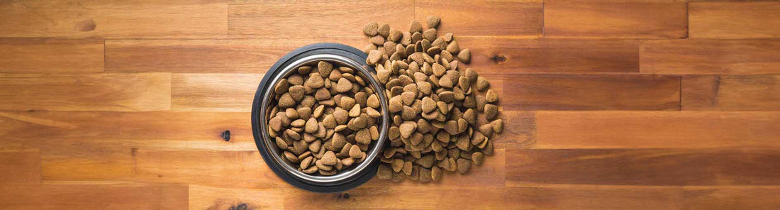 Kaltgepresstes Hundefutter