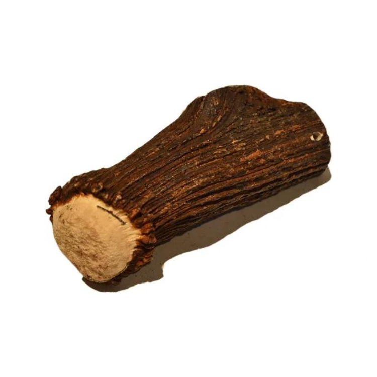 Hirsch-Geweih – naturbelassener, splitterfreier Kausnack für Hunde aus Abwurfstangen