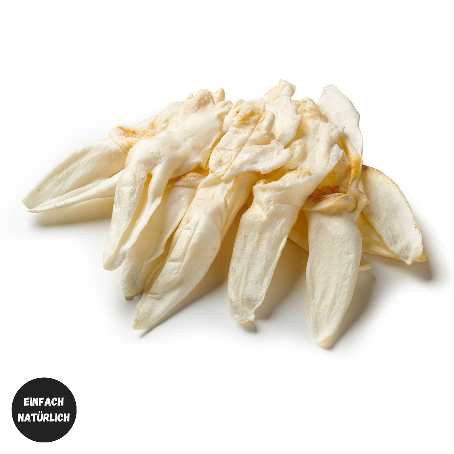 Kaninchen-Ohren_weiss