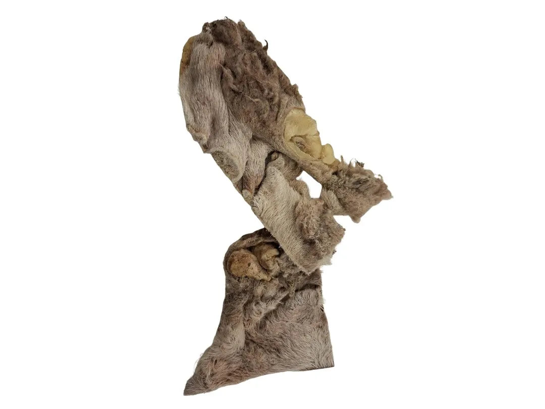 Lamm Kopfhaut, gefriergetrocknet