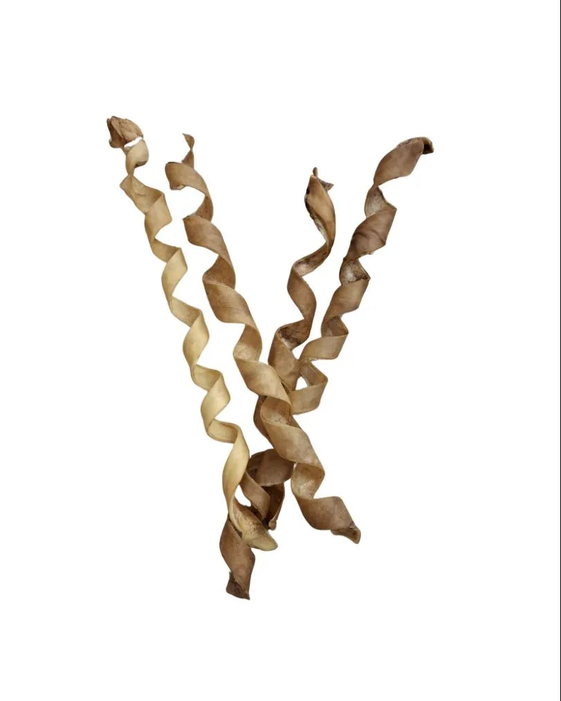 Pferde-Spiralen – naturbelassene, hypoallergene Kausnacks für Hunde aus 100 % Pferd