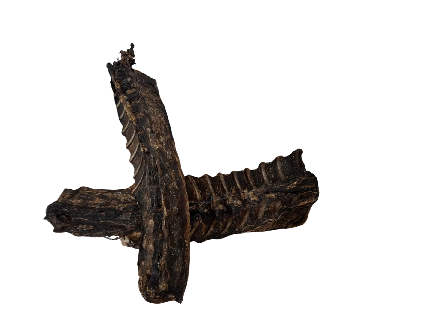 Reh-Rücken – naturbelassener Wild-Kausnack mit Knochen für Hunde