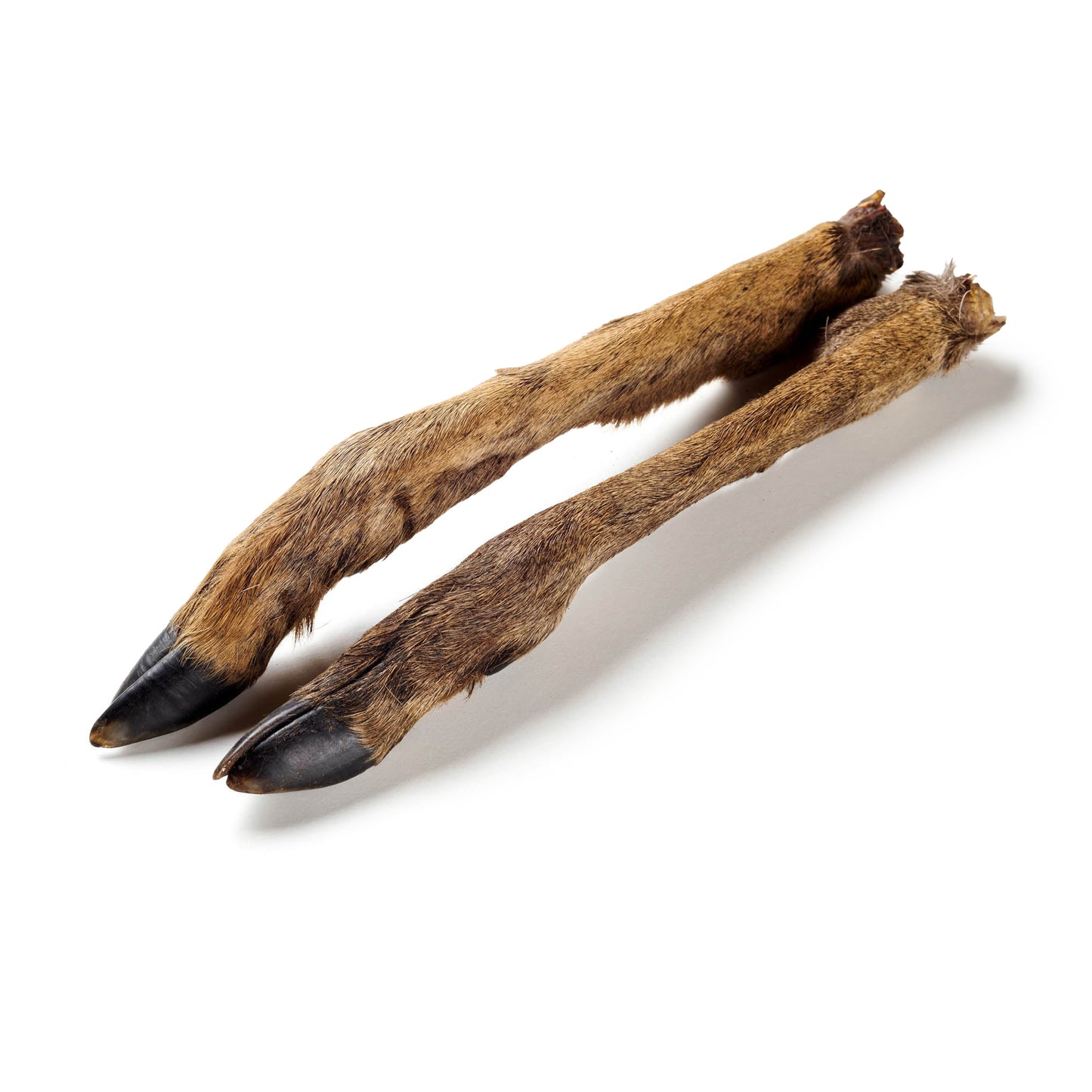 Reh-Unterbein mit Fell – naturbelassener Kausnack für Hunde mit Knochen