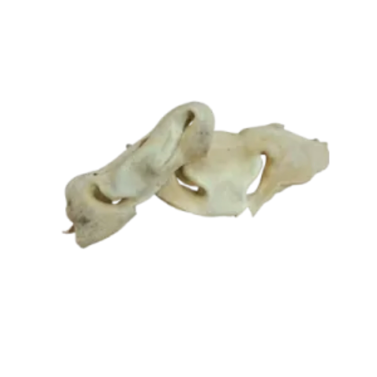 Rinder-Nasen mit Haut hell – getrockneter, fettarmer Natur-Kausnack für Hunde