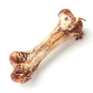 Straußen-Knochen XXL für Hunde, naturbelassen, fettarm und ideal für intensives Kauen.