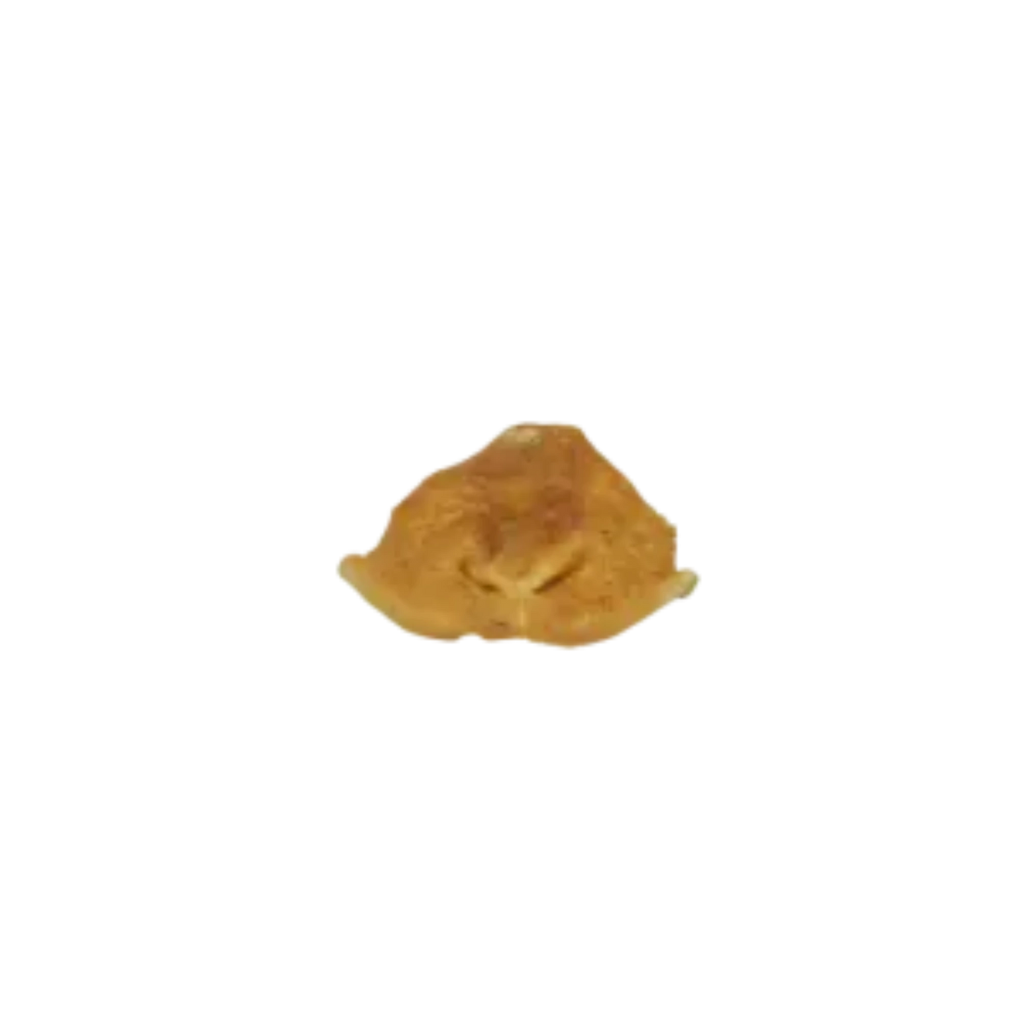 Ziegen-Nase – naturbelassener, hypoallergener Kausnack für Hunde aus 100 % Ziege