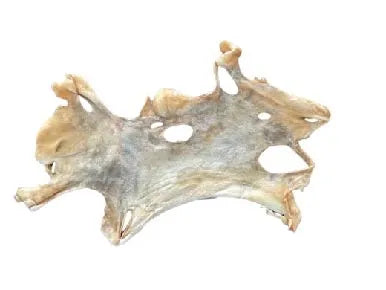 Ziegen-Kopfhautplatte – hypoallergener, extra zäher Natur-Kausnack für Hunde