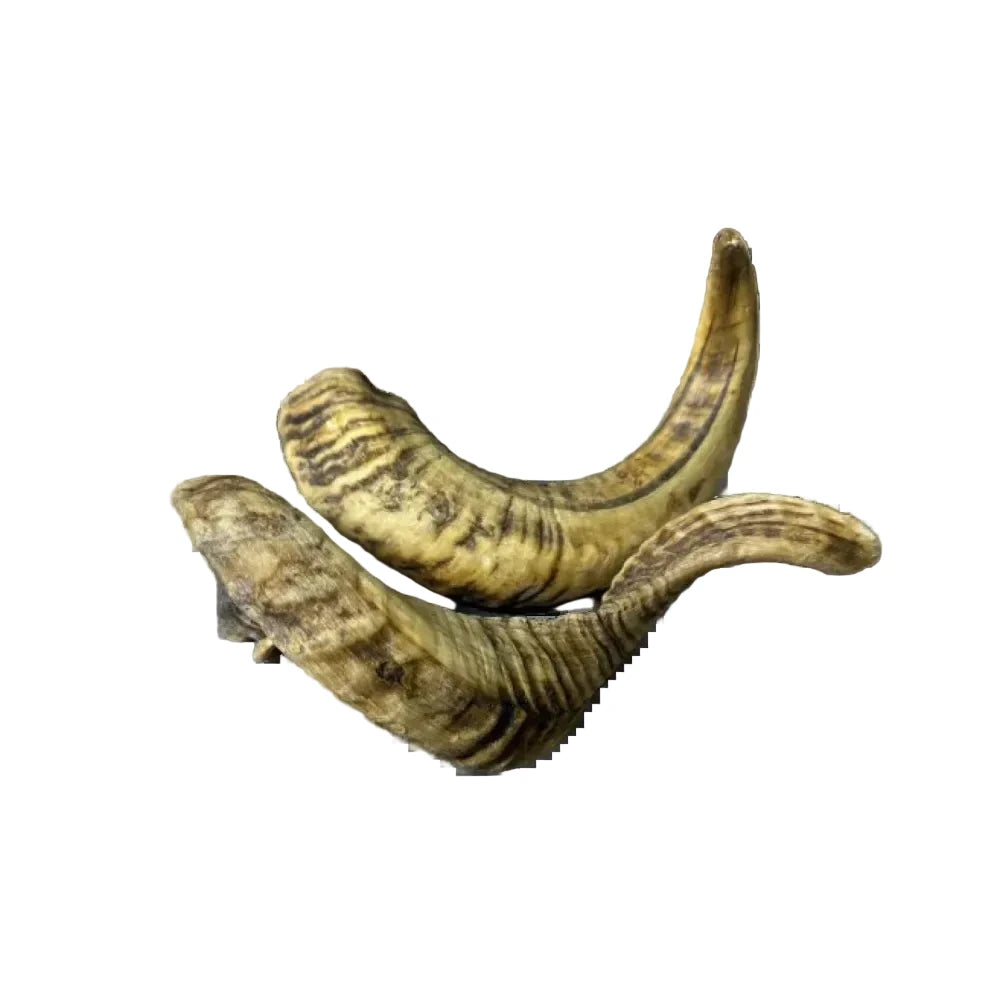 Lamm-Horn – naturbelassener, splitterfreier Kausnack für Hunde