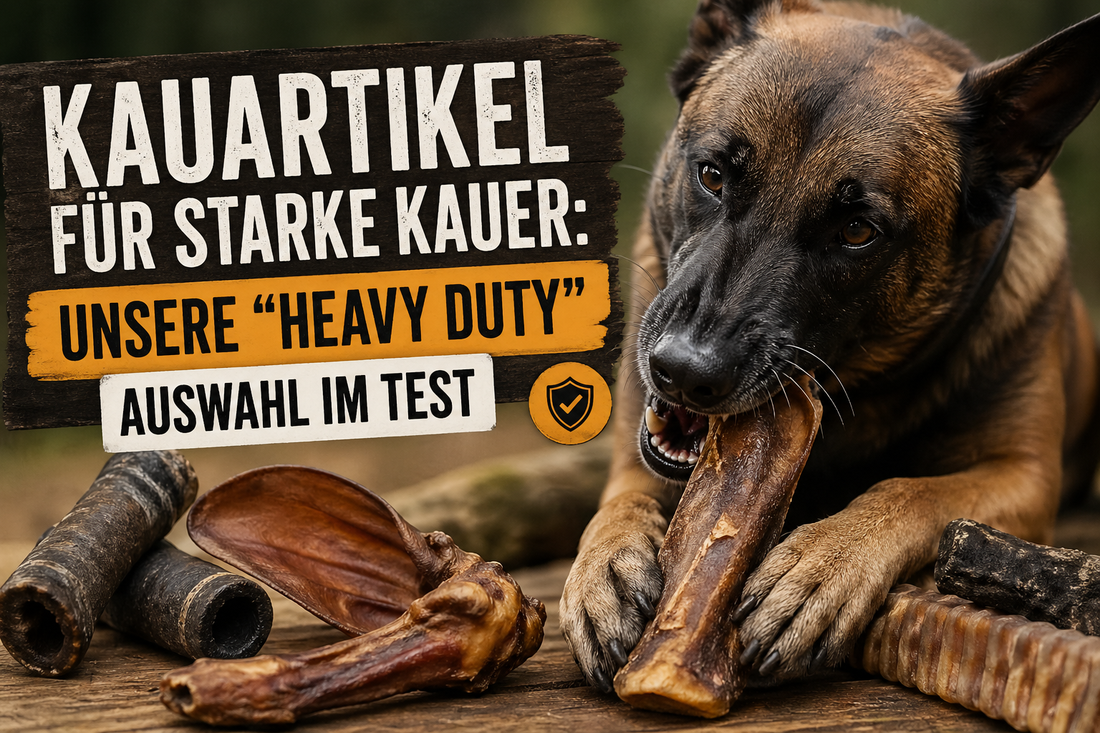 Kauartikel für starke Kauer: Unsere "Heavy Duty" Auswahl im Test