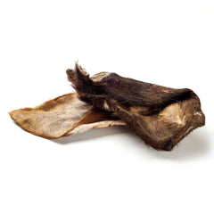 Büffel-Ohr mit Fell