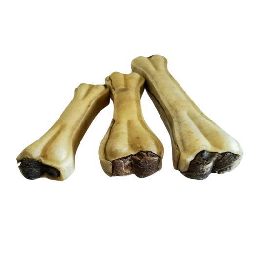 Büffelhautknochen mit Büffelpansen