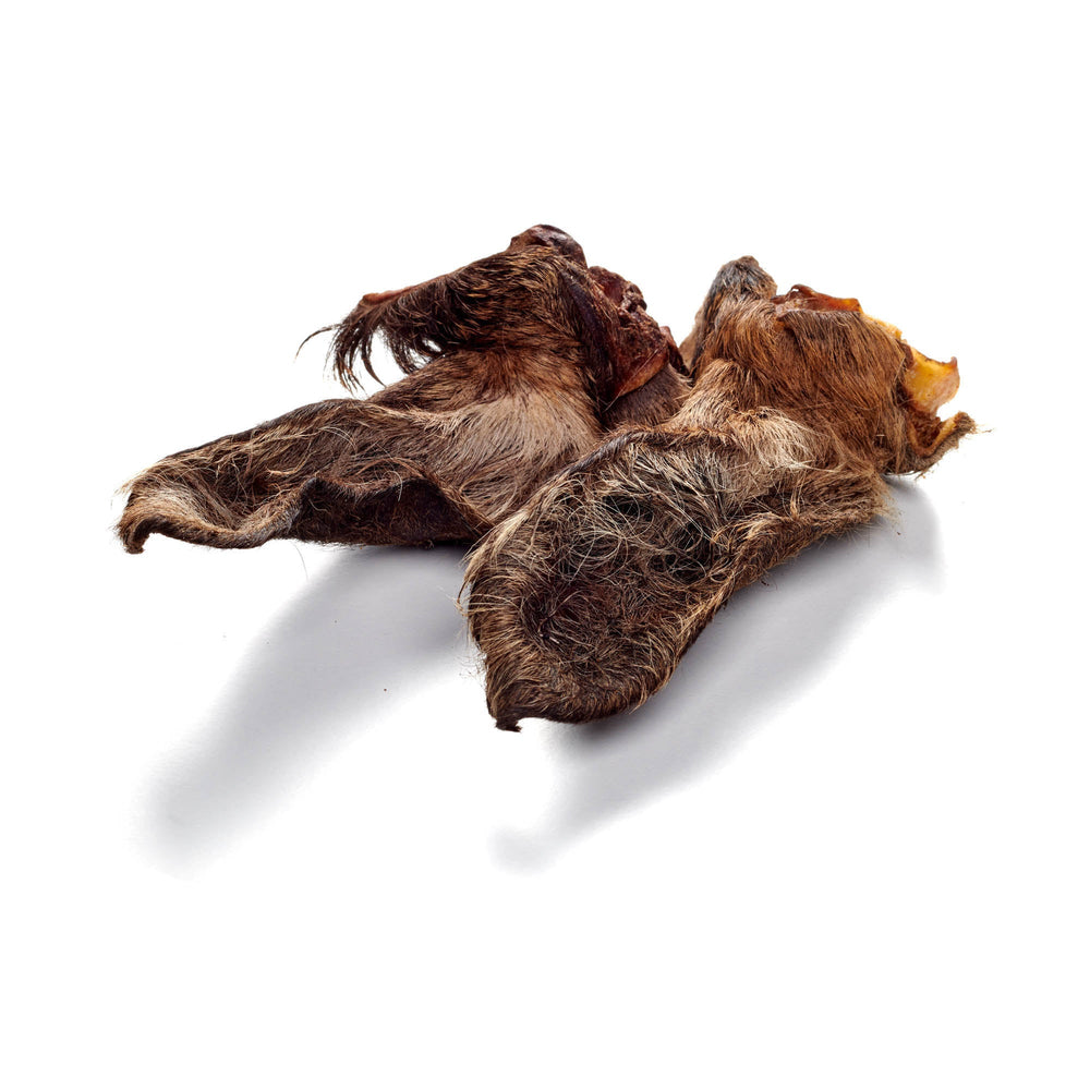 Hirsch-Ohren mit Fell