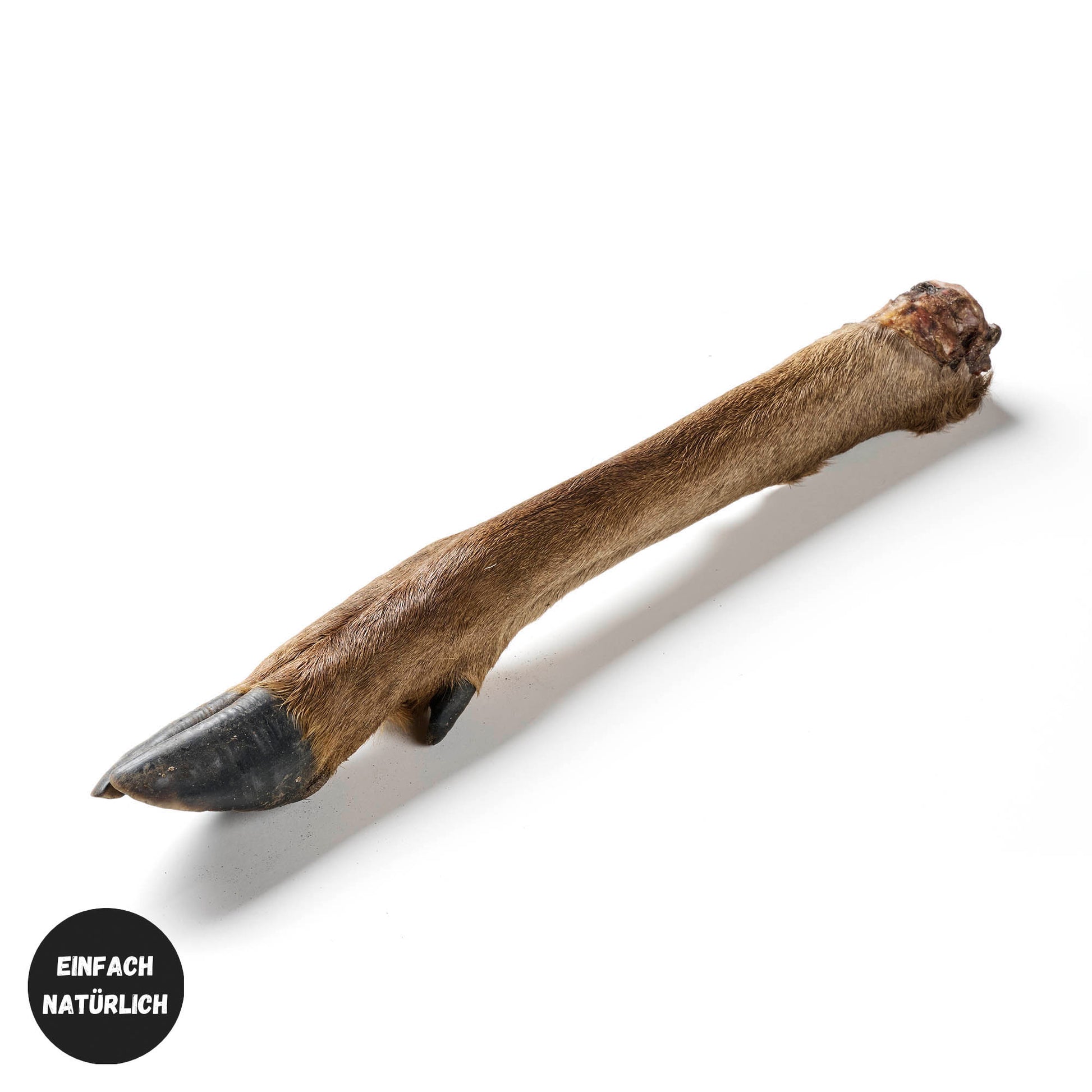 Hirsch-UnterbeinmitFell_1Stck