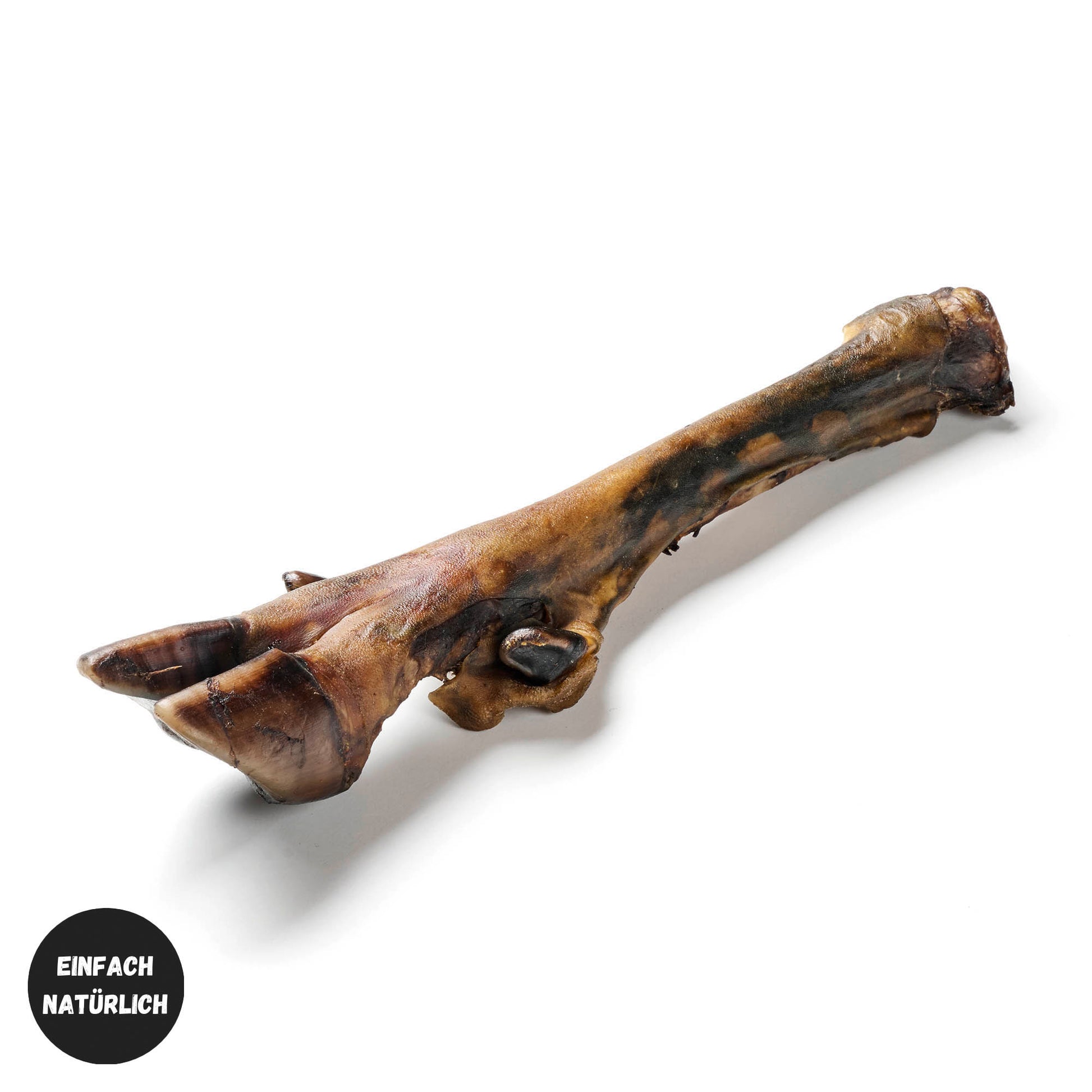 Hirsch-UnterbeinohneFell