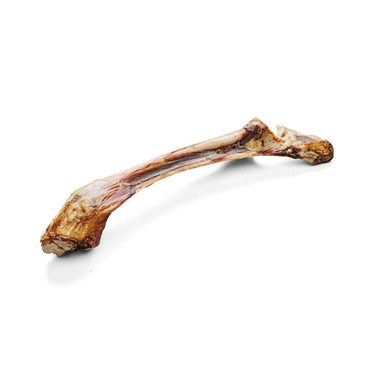Hirsch-Knochen