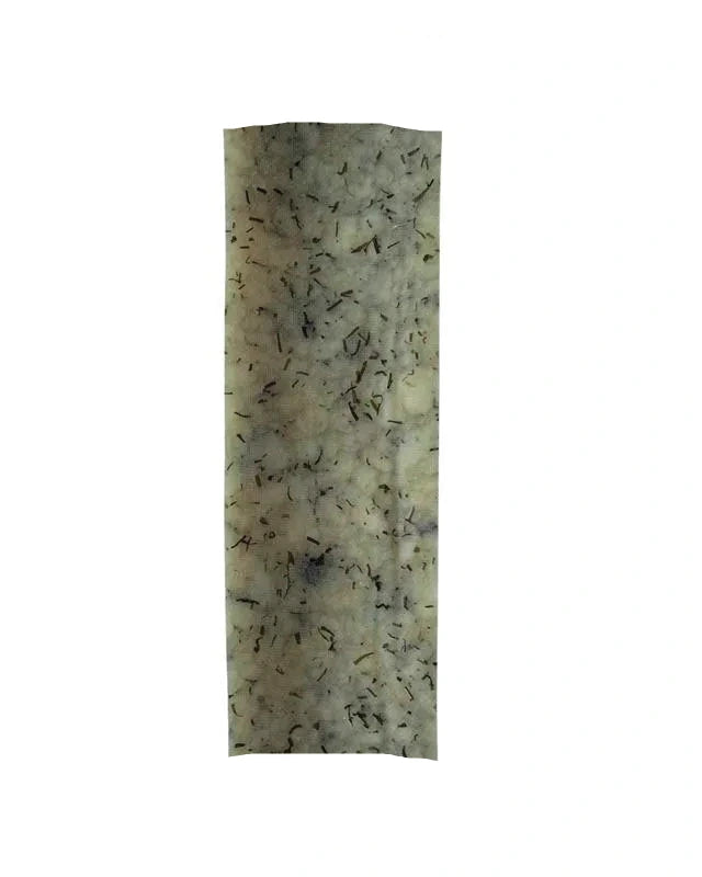 Cheese stick with dill