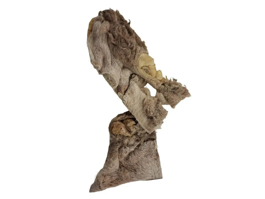 Lamm Kopfhaut, gefriergetrocknet