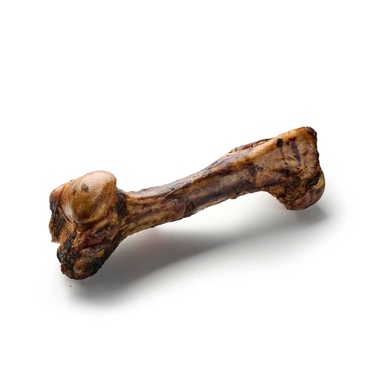 Pferde Jumbo Knochen