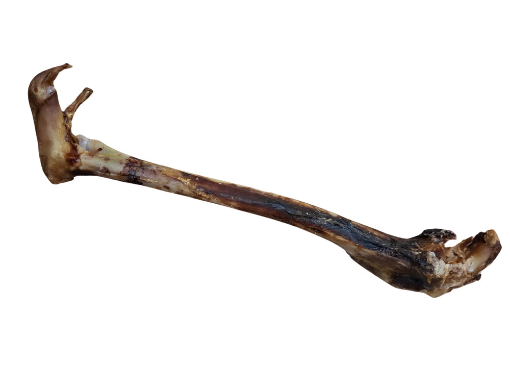 Roe deer bones