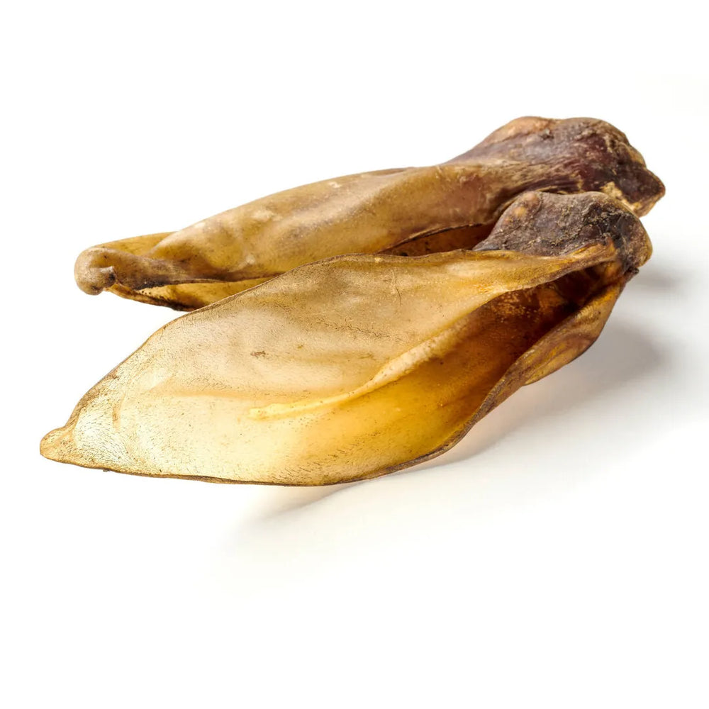 Wild Boar Ear