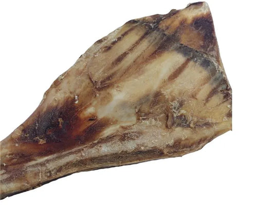 Rinder-Jumbo-Schulterblatt