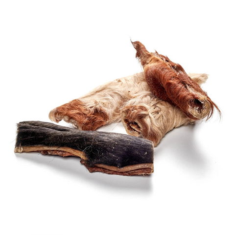 Bovine scalp with fur, short