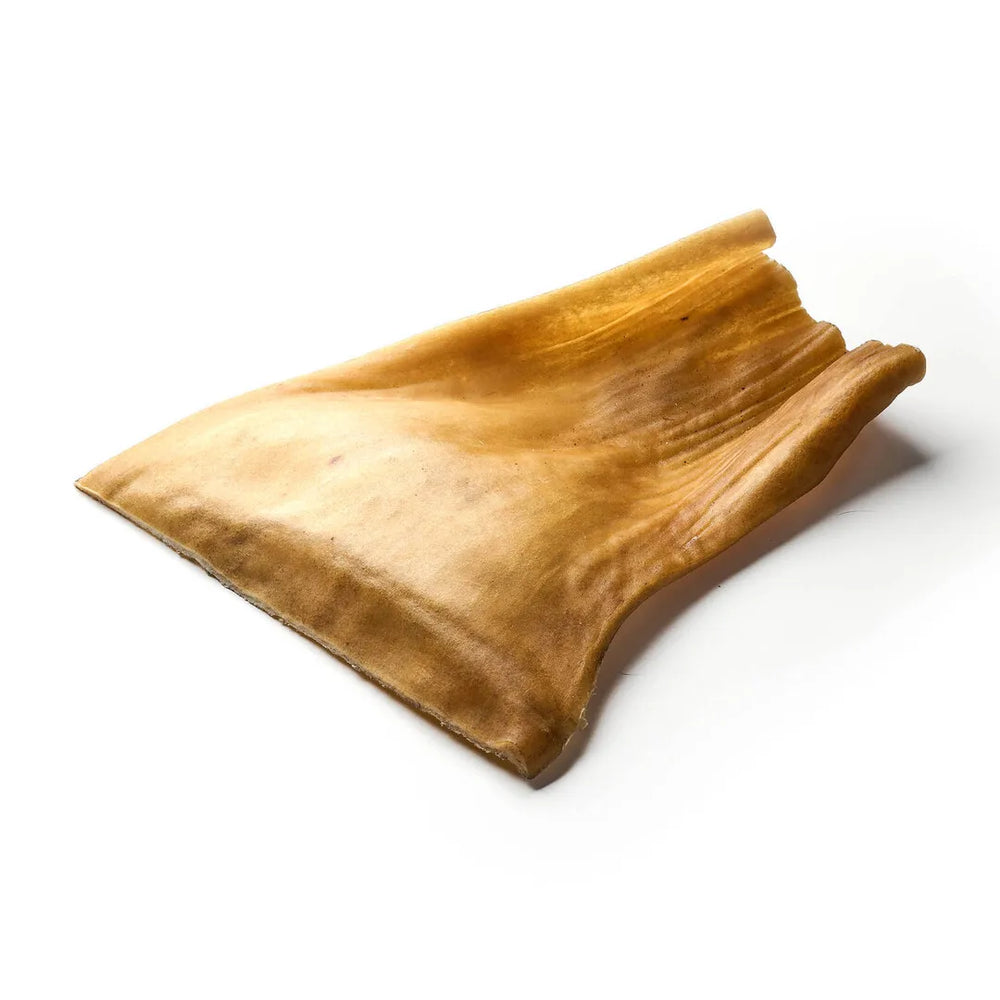 Rinder-Kopfhautplatten XL, Grober Schnitt