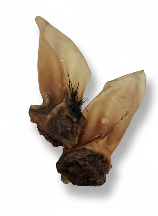 Rinder-Ohr XL,Stück mit großer Muschel