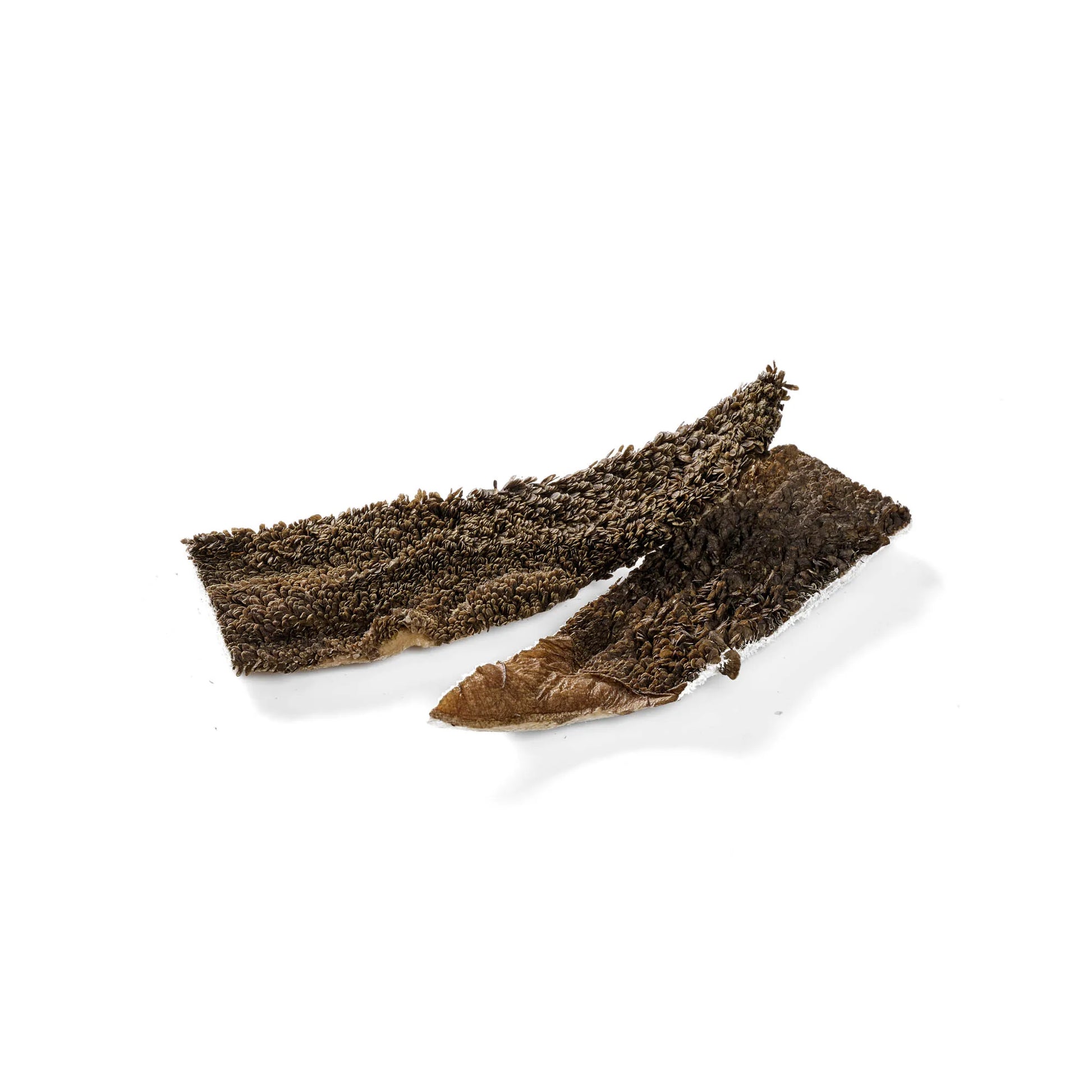 Rinder Pansen grün gefriergetrocknet