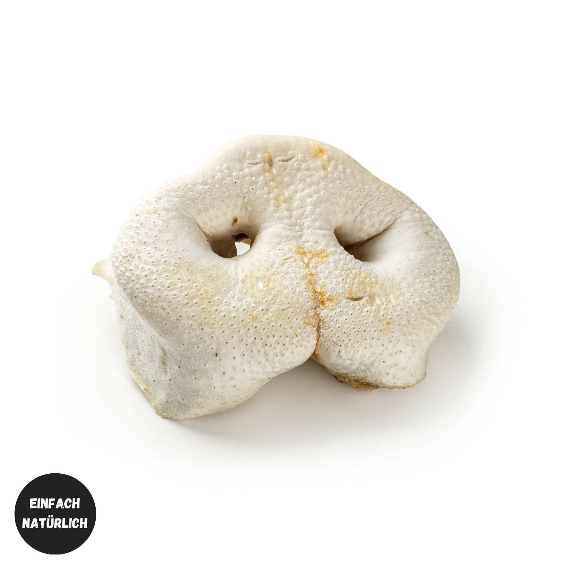 Schweine-Nasen_weiss