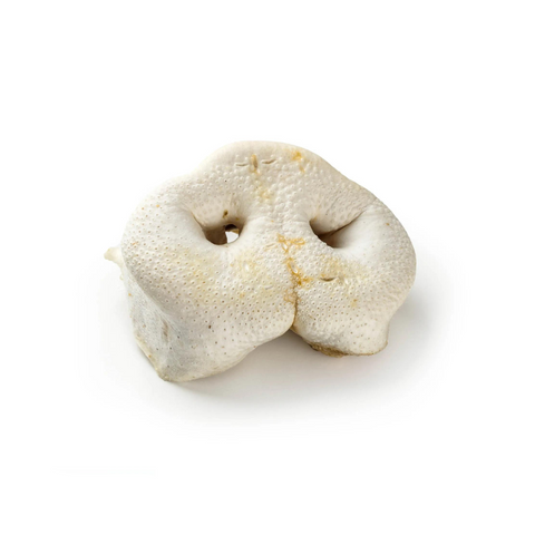 Pig noses, white 5 pieces