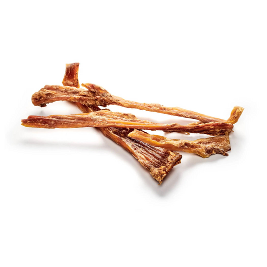 Straußen-Achillessehne – zäher, fettarmer Natur-Kausnack für Hunde