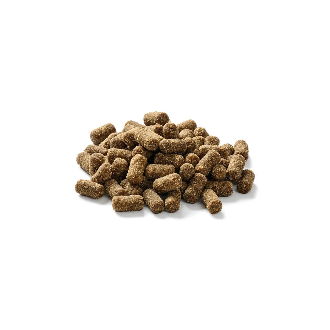 Trainingssofties Pferd – weiche, hypoallergene Fleisch-Leckerli für Hunde