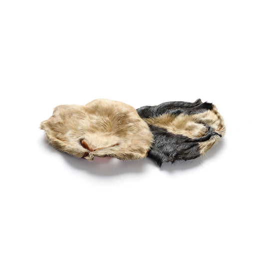 Ziegen-Nase mit Fell – naturbelassener, hypoallergener Kausnack für Hunde 