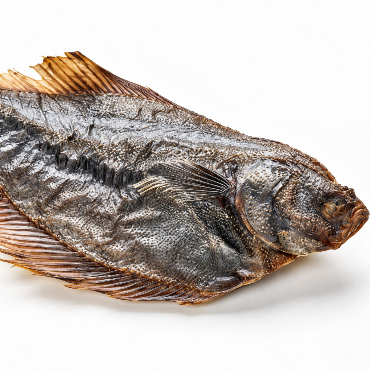 Nahaufnahme getrocknete Flunder – Fischhaut und Flossenstruktur des naturbelassenen Fischsnacks